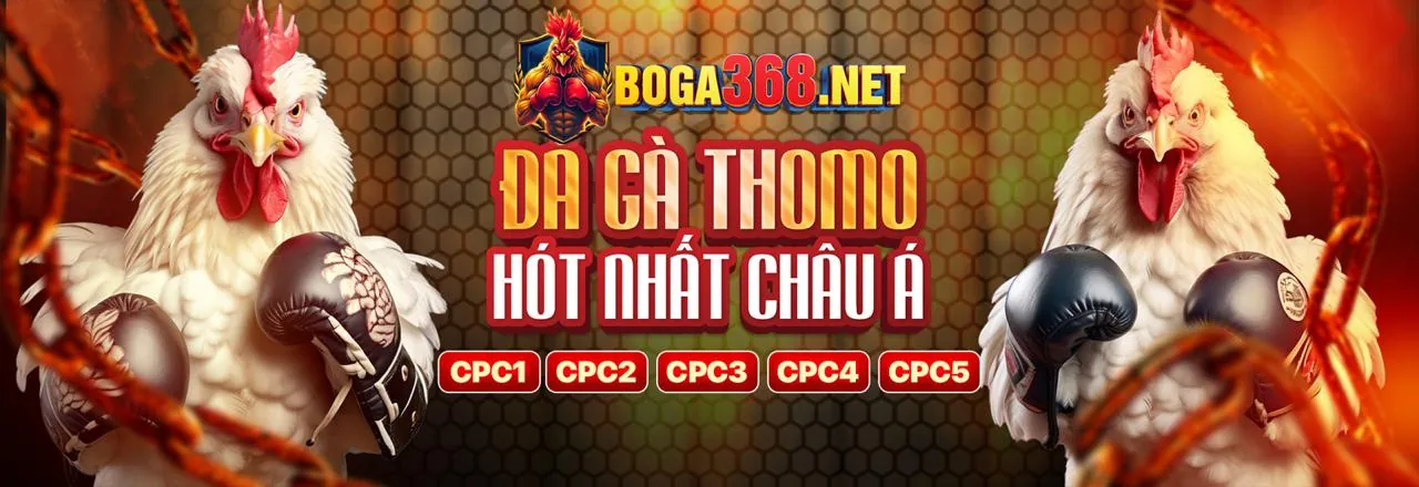 Tin tức tr8888 nhà cái